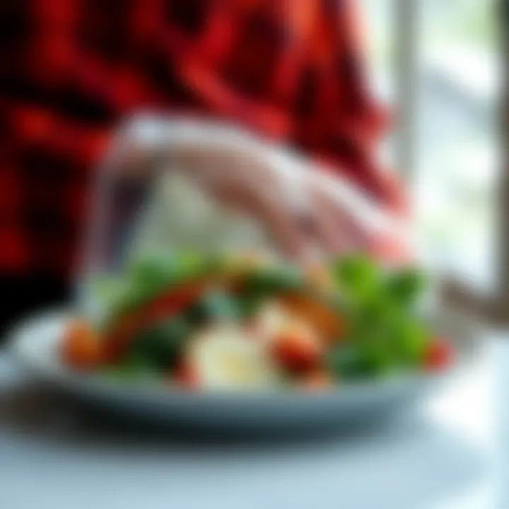 Magnificent Vegetarian Ketosis Diet Plan: A Nutritional Guide