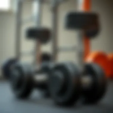 Notable An In-Depth Examination of PowerBlock Adjustable Dumbbells Notable An In-Depth Examination of PowerBlock Adjustable Dumbbells