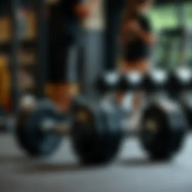 An In-Depth Examination of PowerBlock Adjustable Dumbbells Summary An In-Depth Examination of PowerBlock Adjustable Dumbbells Summary