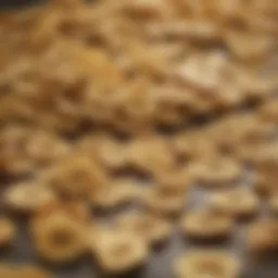 A vibrant display of various banana chip brands available at Walmart.