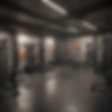 A well-organized basement gym showcasing various exercise equipment.