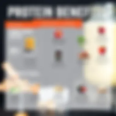 A visually appealing infographic illustrating the benefits of high protein consumption for weight loss.