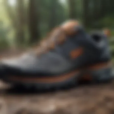 Comparative Analysis of Trail Shoe Brands Comparative analysis of different shoe brands