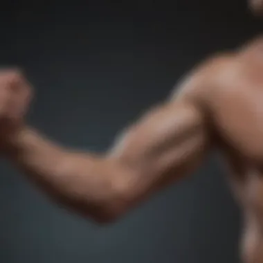 Structured Arm Strength Workout Plan Illustration of a workout plan focusing on arm strength