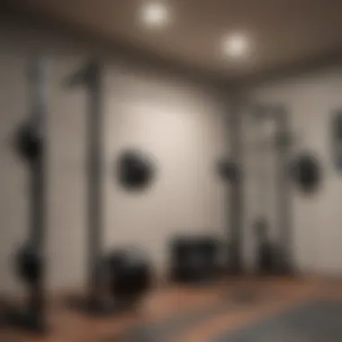 Barbell storage solutions in a home gym setup