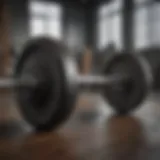 Comparison of different types of barbells for home gyms