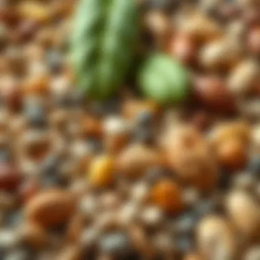 Nuts and Seeds: Crunchy Nutritional Gems Colorful assortment of nuts and seeds