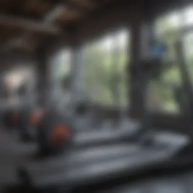 Cardio machines arranged in a gym setting