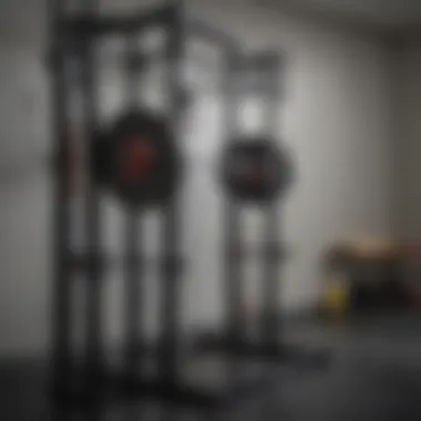 Maintenance tips for wall mounted folding squat racks, emphasizing care and longevity