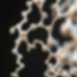 Protein structure illustration showing amino acids