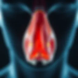 Anatomical illustration of nasal passages highlighting mucus clearance techniques