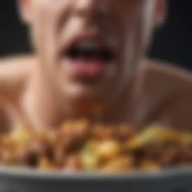 Exploring Dietary Factors Contributing to Bloating Variety of foods impacting digestion