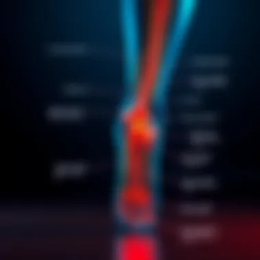 Nervous System Pathways A diagram showing the nervous system pathways related to foot sensations.