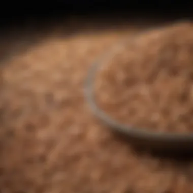 Protein-Packed Legumes and Grains An array of protein-rich legumes and grains