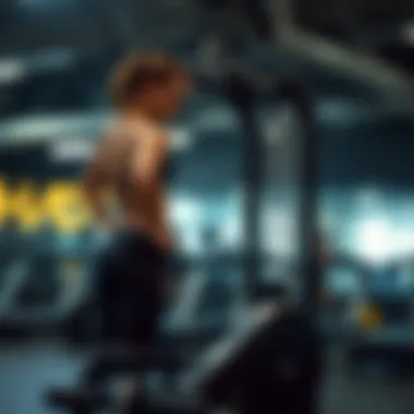 Exploring Full Body Home Gym Equipment Summary Exploring Full Body Home Gym Equipment Summary