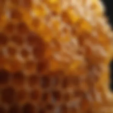 Golden Honey from Honeycomb Close-up of a honeycomb dripping with golden honey.