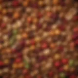 Colorful array of high-fiber snacks including fruits, nuts, and whole grains.