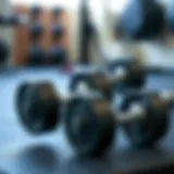 Exploring PowerBlock Expandable Dumbbells: A Comprehensive Guide Introduction