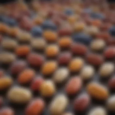 Diverse Multivitamin Capsules A close-up of multivitamin capsules showcasing their diversity.
