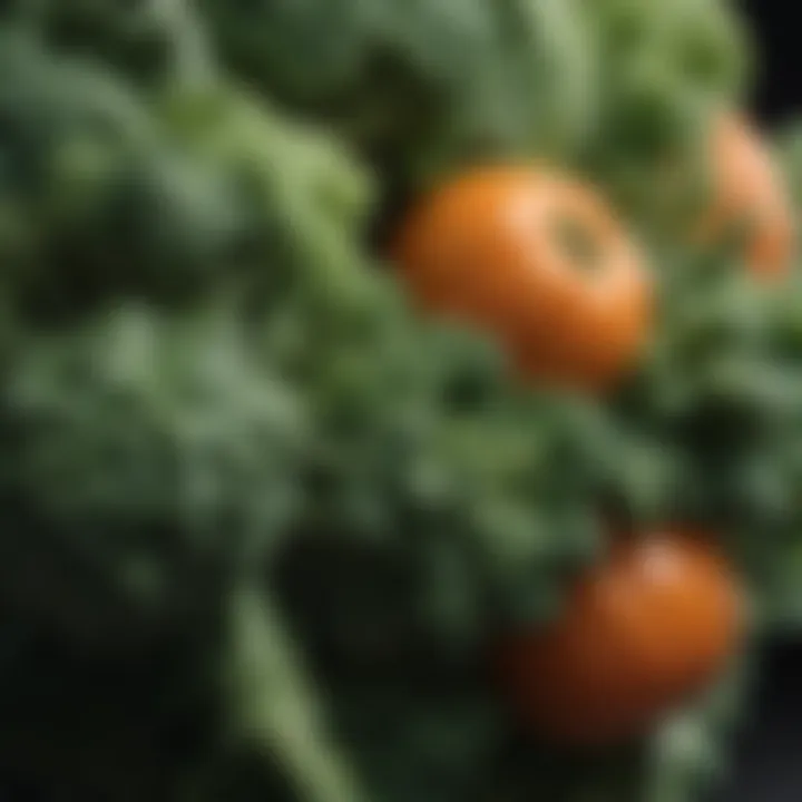 Close-up of a fiber-rich vegetable, highlighting its texture