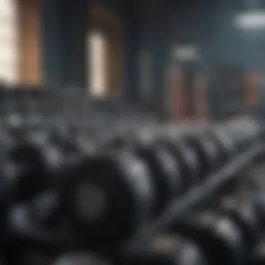 Dumbbells arranged neatly on a rack in a gym