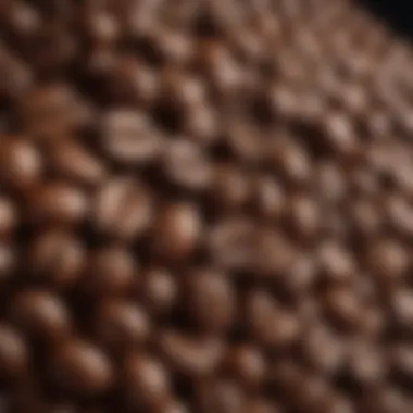 A close-up of coffee beans showcasing their rich texture and color