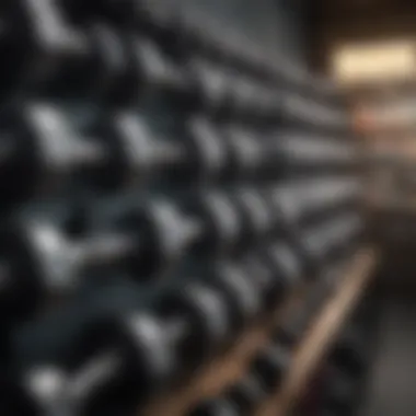 A well-organized display of dumbbells in a local fitness store