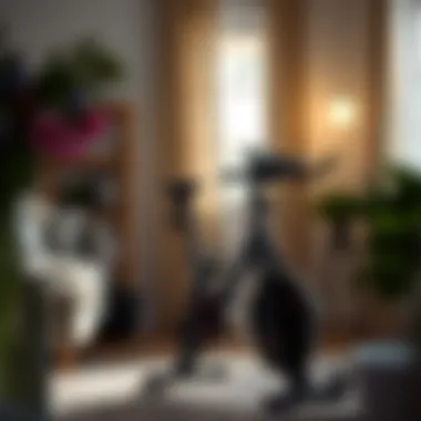 Creating an Efficient Home Workout Space A serene home environment featuring a workout bike
