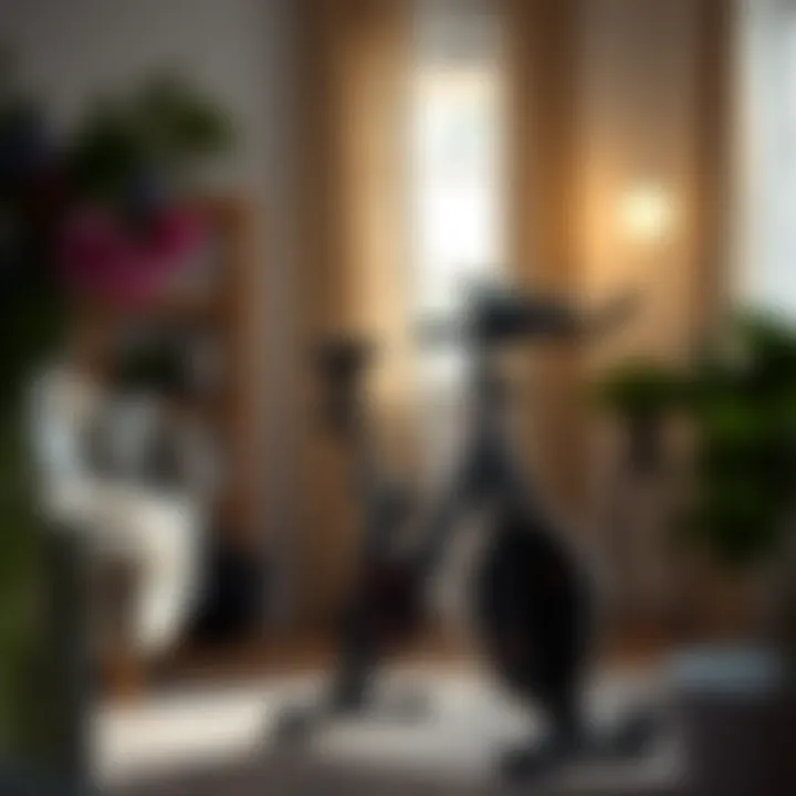 Creating an Efficient Home Workout Space A serene home environment featuring a workout bike