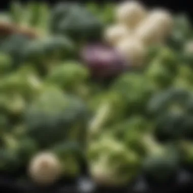 An array of cruciferous vegetables, including broccoli and Brussels sprouts, highlighting their health benefits.