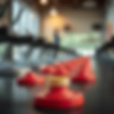 Maintenance Tips for Long-lasting Floor Protectors Maintenance tips for exercise equipment floor protectors