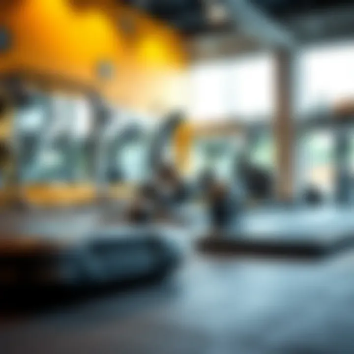 Diverse Types of Floor Protectors for Gym Equipment Variety of floor protector types for gym equipment