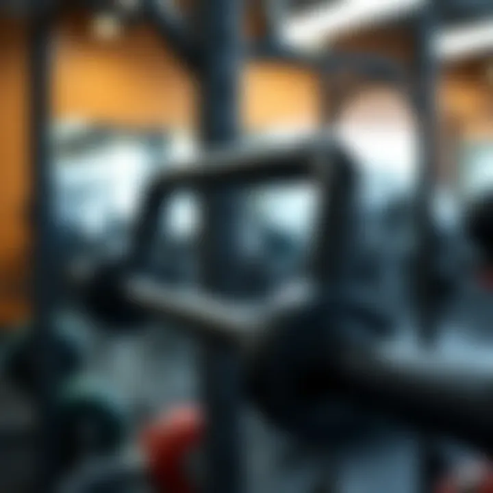 EZ curl bar promoting ergonomics during bicep exercises