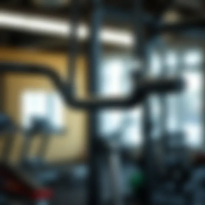 Multi-grip bar for diverse exercise options