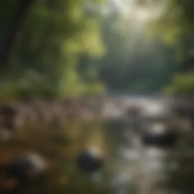 Stress Management Techniques for Wellness A serene landscape for stress management practices