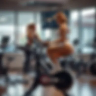 Integration of Technology in Fitness: The Spin Bike with TV Screen Introduction Integration of Technology in Fitness: The Spin Bike with TV Screen Introduction
