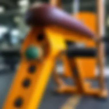 Durability Features of a Multi-System Workout Bench Detail of robust construction emphasizing durability in workout benches.