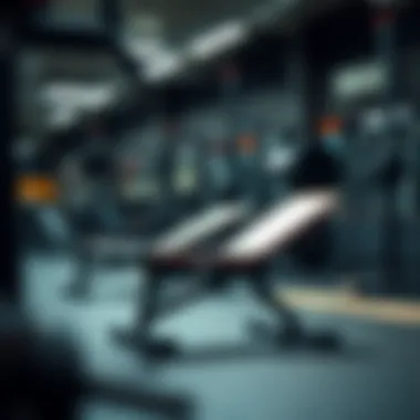 Maintenance Tips for Multi-System Workout Benches Maintenance tips for extending the life of workout benches.