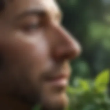 Herbal Solutions for Nasal Relief An assortment of herbs known for alleviating congestion.