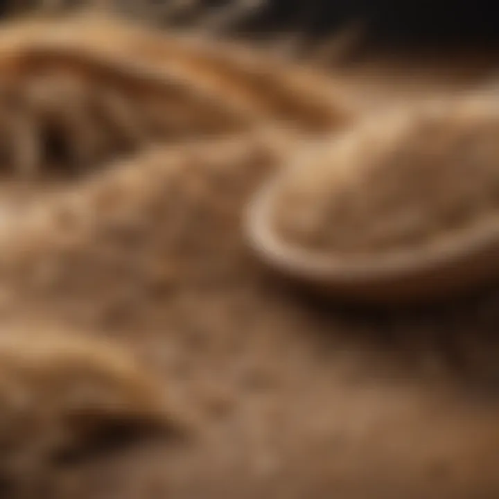 A selection of whole grains in various forms