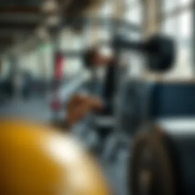 Core Stability Apparatus for Enhanced Results Versatile gym apparatus for enhancing core stability