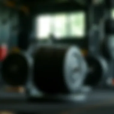 Bumper Plates in Action A weightlifting setup featuring bumper plates in use