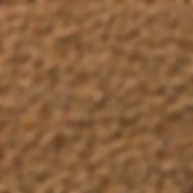 A close-up of various grains and legumes in a bowl, highlighting their textures.