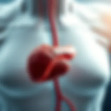 Health Considerations for Pancreatic Function Visual representation of health considerations related to the pancreas