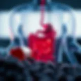 Probiotics and Gastrointestinal Disturbances: Understanding Diarrhea Introduction