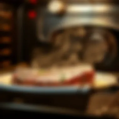 Reheating a Steak in the Oven: A Comprehensive Guide Introduction Reheating a Steak in the Oven: A Comprehensive Guide Introduction