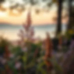 Calming nature scene promoting relaxation