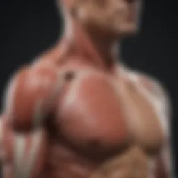 Detailed diagram showcasing the anatomical structure of the rotator cuff muscles