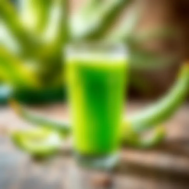 Fresh Aloe Vera Juice Glass of fresh aloe vera juice with vibrant green color