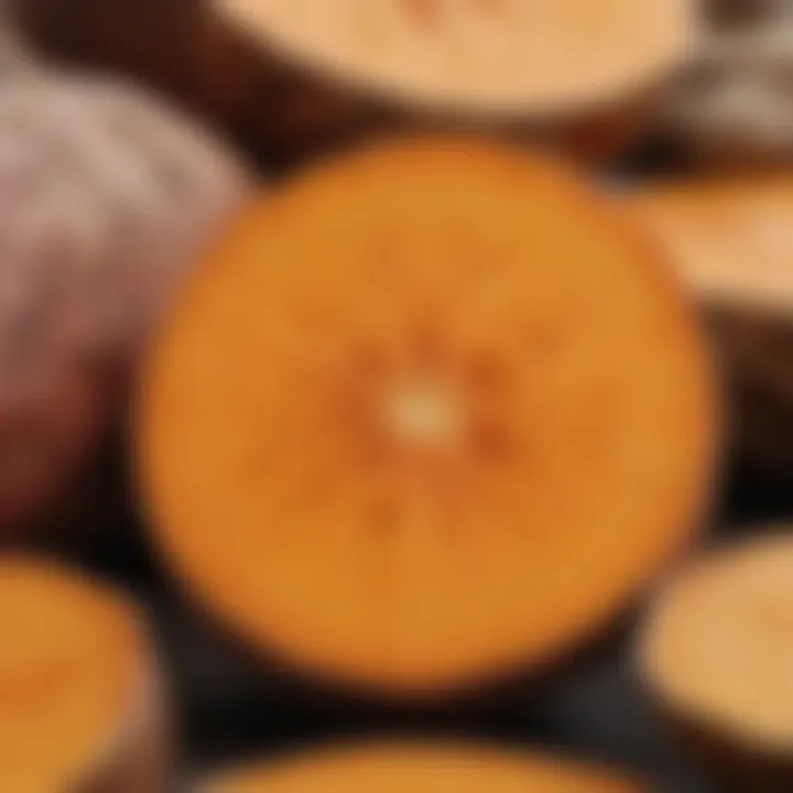 A close-up of sweet potato slices showcasing their vibrant color